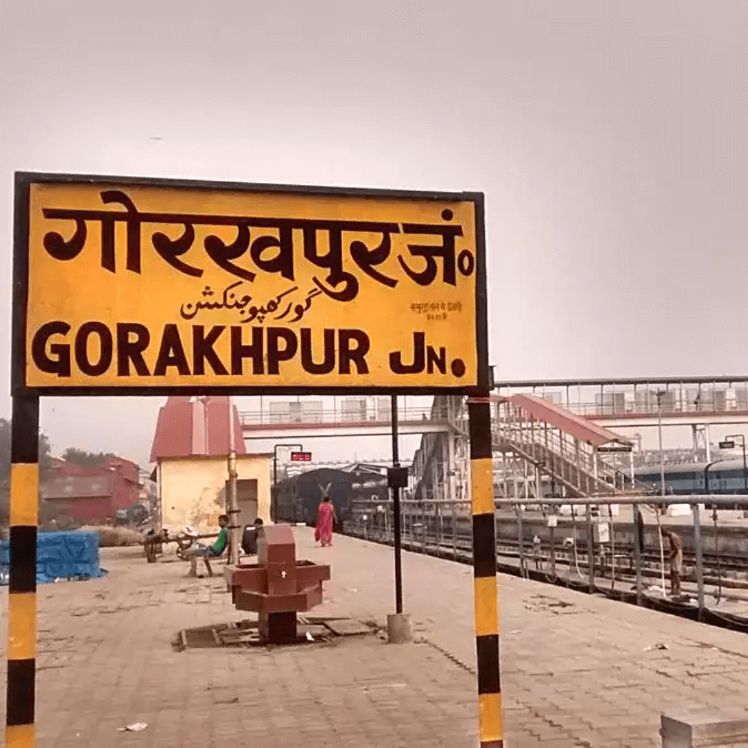 professional seo services in gorakhpur